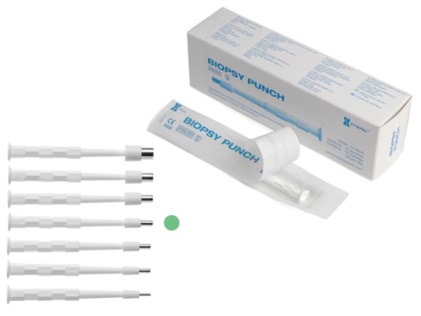 Stief-bp4 biopsy punches ø 4 mm cutie cu 10 - produs medical pentru oferta ZESCORP