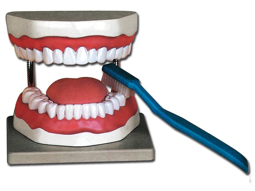 Oral hygiene - produs medical pentru oferta ZESCORP